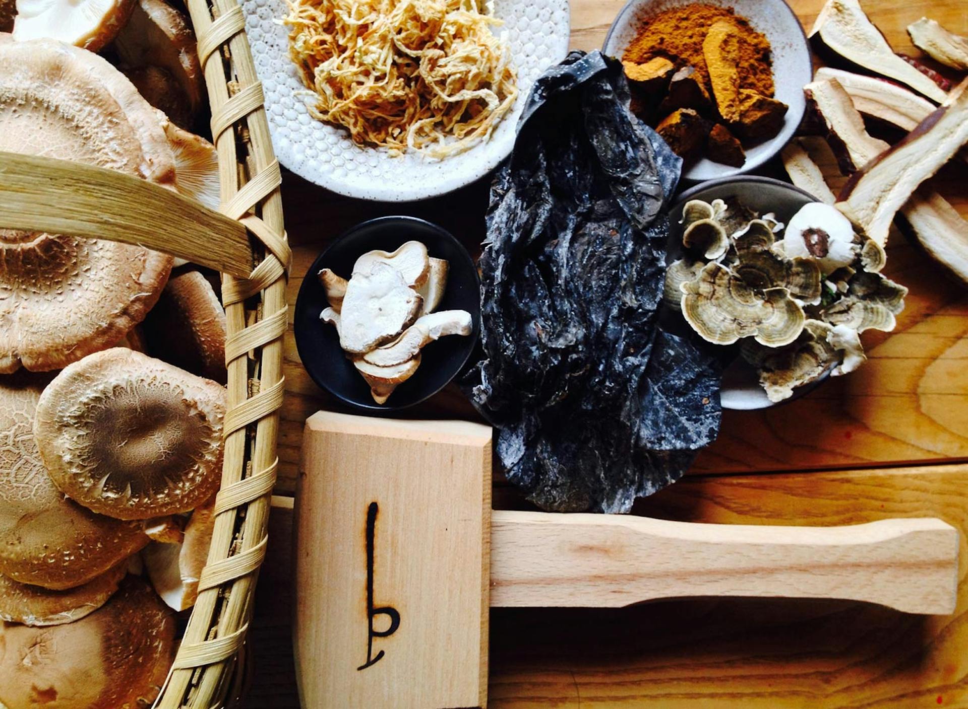 Food Lab at SHO: vegan gastronomy in a cold climate | forest dashi: wild reishi, turkey tail & chaga with cultivated shiitake mushrooms create the base for this japanese staple broth