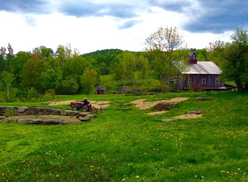 SHO Farm: vegan wild farming in a cold climate | one of our land stewardship practices is to create as much undisturbed habitat for our resident wildlife which we do, in part, by implementing a strategic mowing pattern  