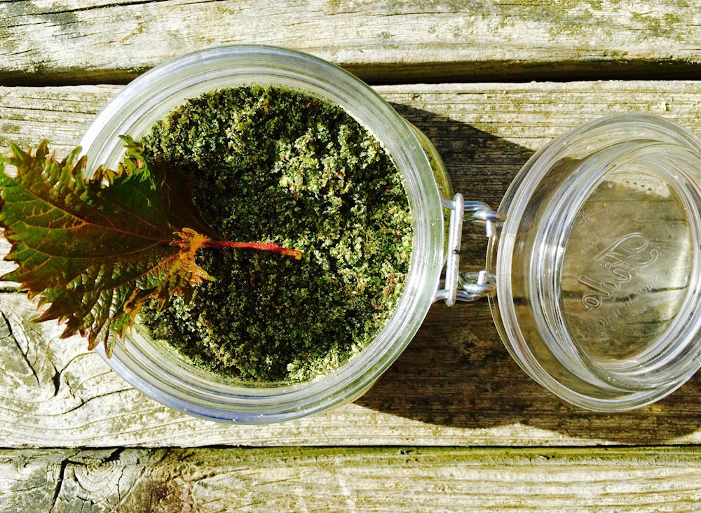 Food Lab at SHO: vegan gastronomy in a cold climate | fresh sisho leaf salt