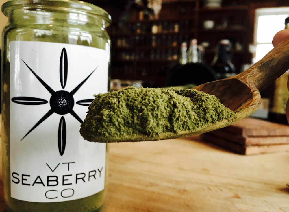 Vermont Seaberry Co at SHO | nutrient-dense powder made from seaberry leaves