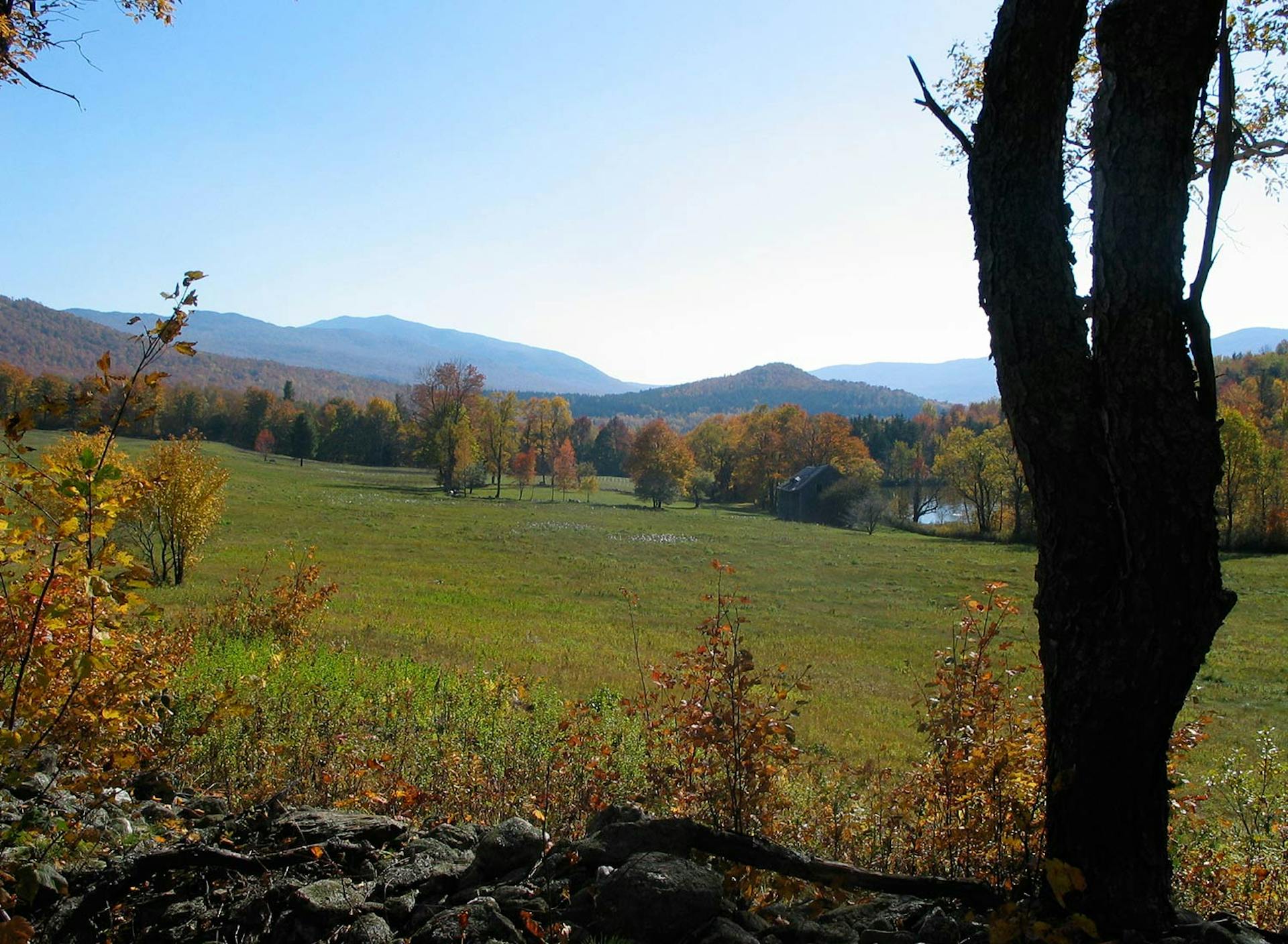 SHO Farm: vegan wild farming in a cold climate | remote upper fields, 2 ponds & extensive forest offer excellent wildlife habitat