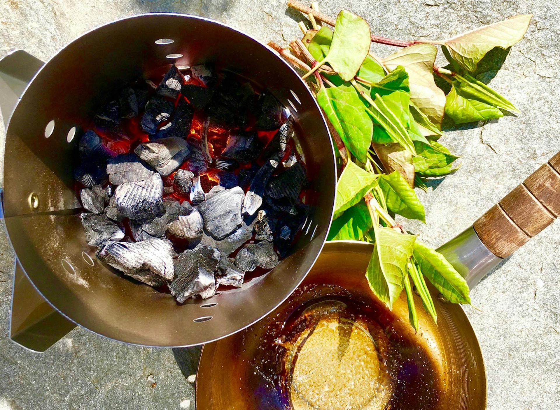 Food Lab at SHO: vegan gastronomy in a cold climate | outdoor cooking with homemade hardwood charcoal, experimenting with japanese knot weed